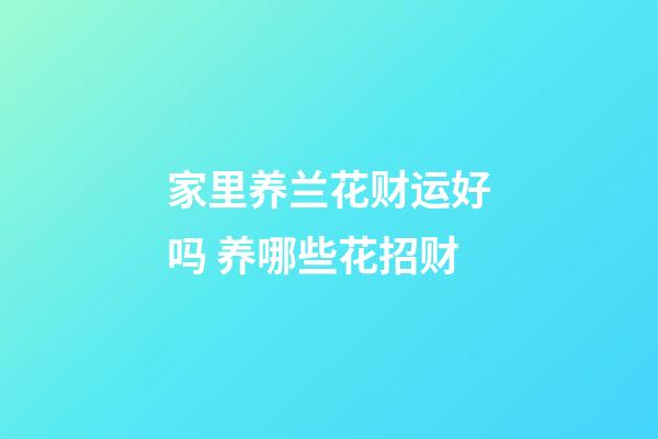 家里养兰花财运好吗 养哪些花招财